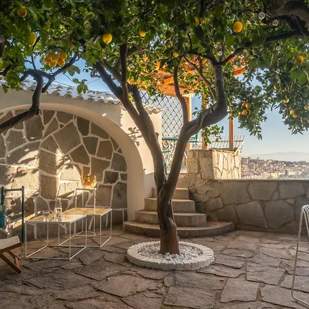 Jallo & Blue Petite Napoli